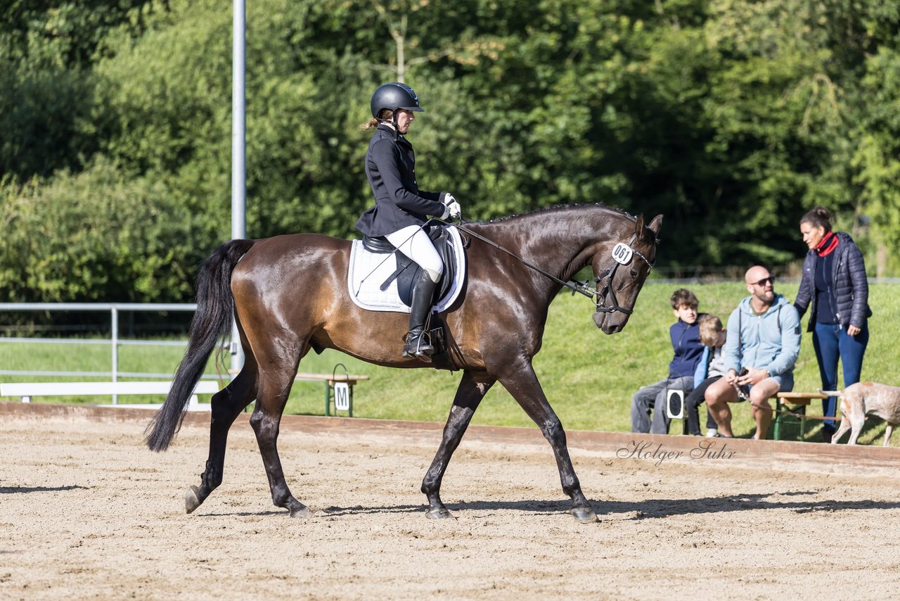 Bild 215 - Pony Akademie Turnier